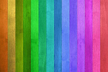 Obraz na stenu farebný zs4203